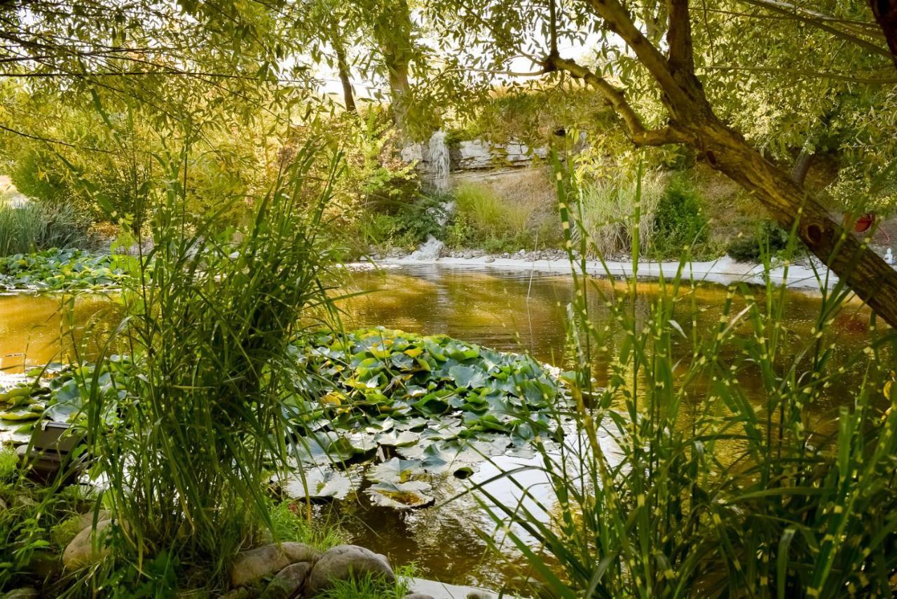 La Campagne St Lazare - Restaurant Chambres D'Hotes Piscine & Spa Forcalquier Kültér fotó