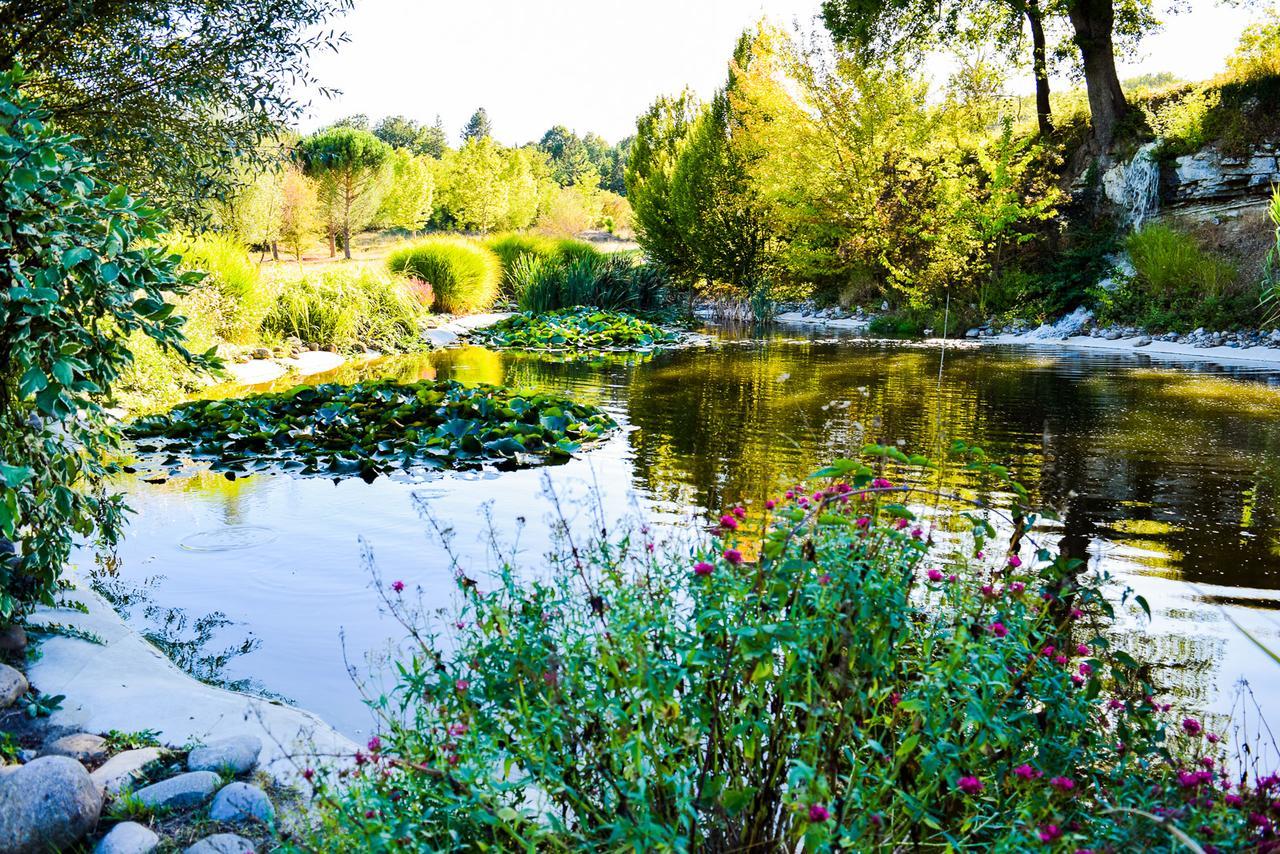 La Campagne St Lazare - Restaurant Chambres D'Hotes Piscine & Spa Forcalquier Kültér fotó
